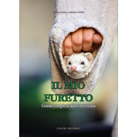 Il mio furetto