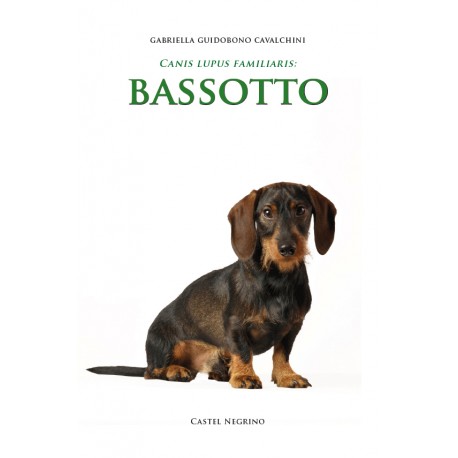 Bassotto