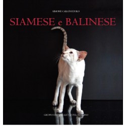 Siamese e balinese