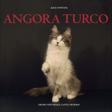 Angora Turco