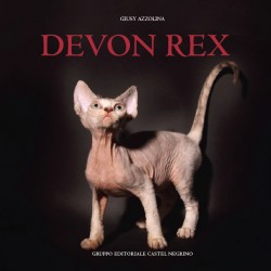 Devon rex