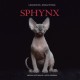 Sphynx