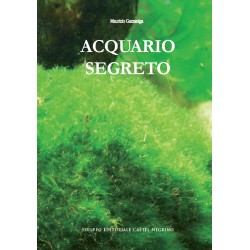 Acquario segreto