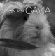 Voglio una cavia